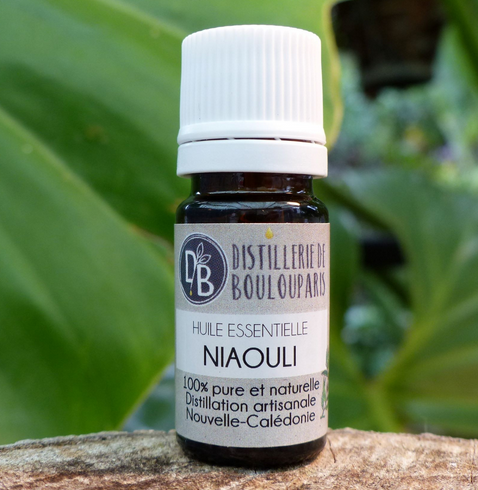 Huile essentielle de Niaouli - 5ml - Distillerie de Boulouparis -  Bio-Attitude Nouvelle Calédonie