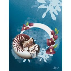 Affiche Nautile A3 - MoonChild Illustration