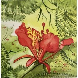 Carte Carrée Hibiscus - ASA