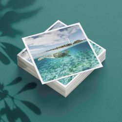 Carte postale - Tortue devant le phare Amédée- Cédric Jacquot Photography